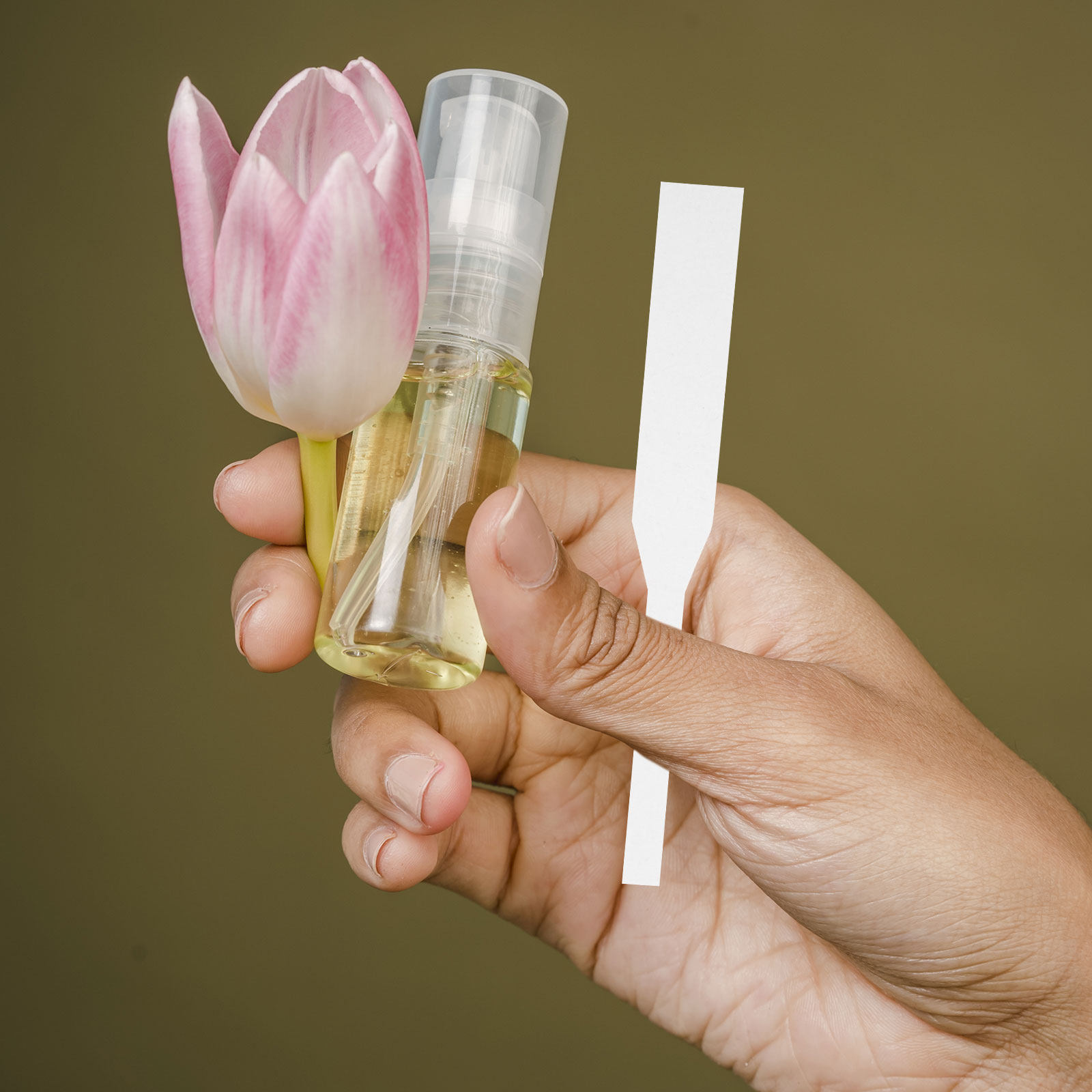 100Pcs Perfume Test Strips Fra - Perfume Fragrance Shop ulasan dan harga