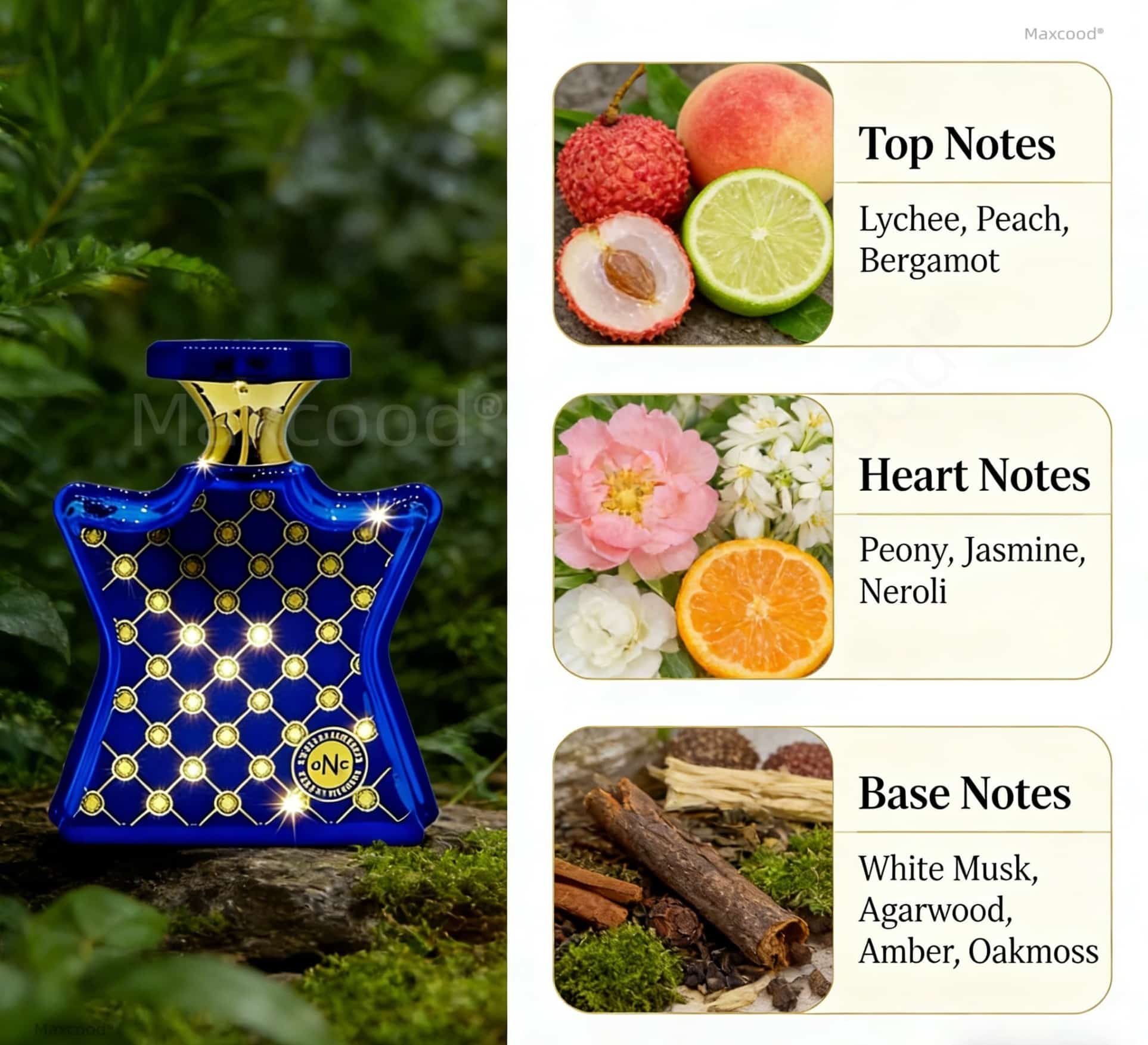 Citrus and Floral Perfume Long - Perfume High Fragrance ulasan dan harga