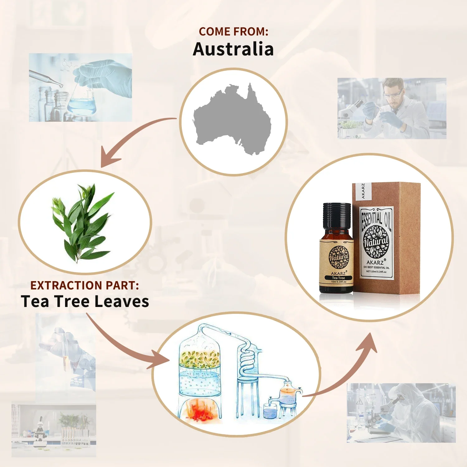 AKARZ Rosemary Essential Oil N - Perfume Fragrance Oils For Candles ulasan dan harga
